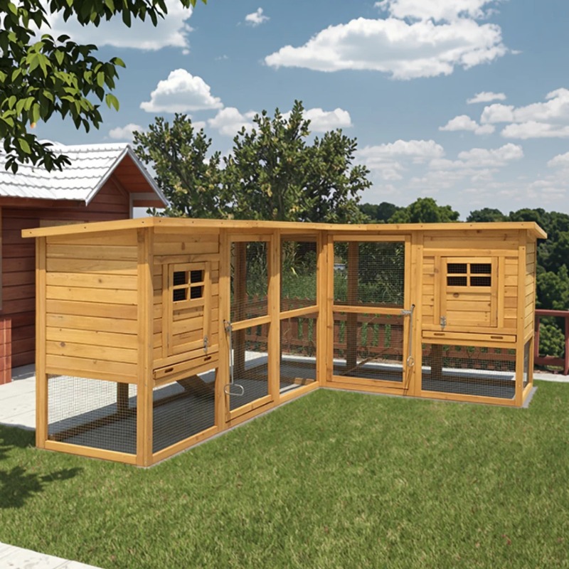 Commercial Printing House - SDC019 Economical Outdoor Large Chicken Coop