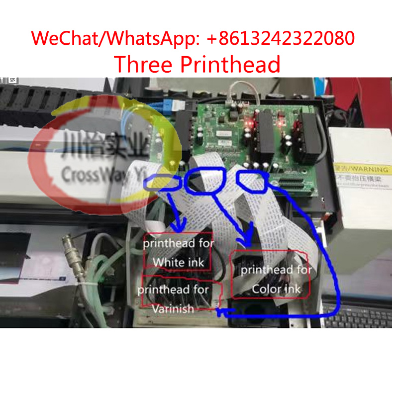 High-Quality A1 Size 6090 Flat - Commercial Printing Inc ulasan dan harga